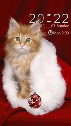 christmas cat Locker
