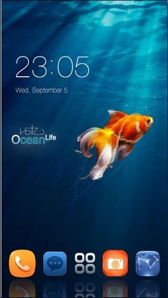 14 Ocean Life