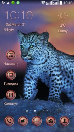 Wild Cats leopard