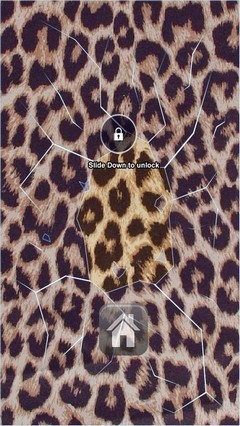 Leopard Print Lock Screen