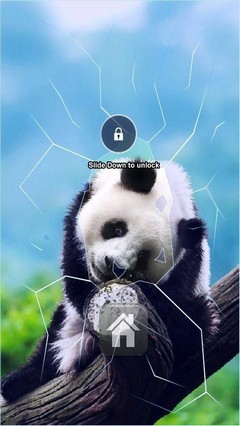 Panda Bear Lock Screen