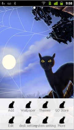 black halloween cat