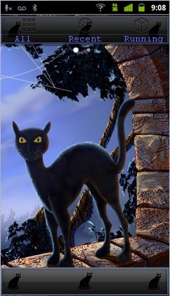 black halloween cat