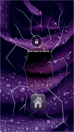 Purple Rose Lock Screen