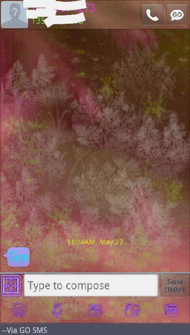 Forest Whimsy