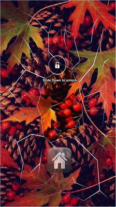 Autumn Folliage Lock Screen