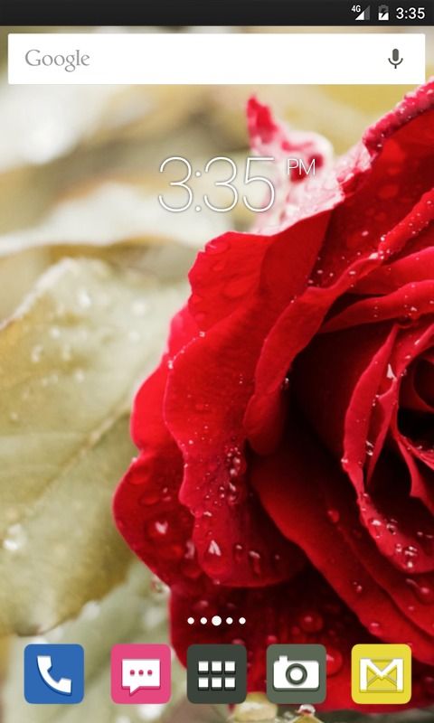 Beautiful Red Rose Apex Launcher Theme