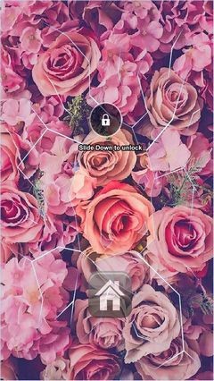 Pink Roses Lock Screen