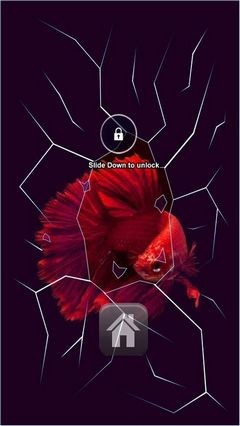 Red Beta Fish Lock Screen