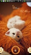 Active - Cute Cat Theme