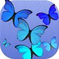 Blue butterfly battery