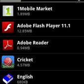 Adobe Flash player 11.1