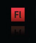 Adobe Flash Lite v3.1