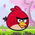 Angry Birds HoT