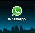 Whatsapp 2.6.97