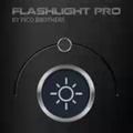 PicoBrothers The Flashlight v1.00(1) S3 Anna Belle Signed