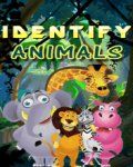 Identify Animal (176x220)