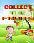 Collect The Fruits (176x220)