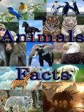 मजेदार प्राणी तथ्ये