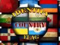 Identify Country Flag (320x240)