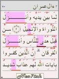 Мобильный английский Tajweed Quran