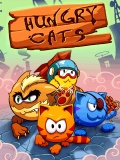 Hungy Cats 240 * 320