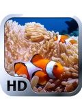 Fonds d'écran Ocean Life Fish 360x640