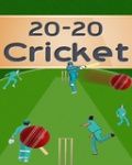20-20 क्रिकेट