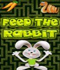Feed The Rabbit