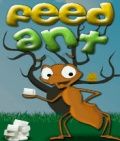 Feed Ant