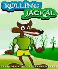 Jackal Rolling (176x208)