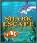 Shark Escape