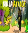 Ninja Saldırısı