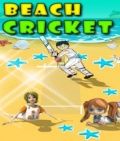 Cricket praia