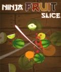Ninja Fruit Slice