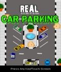 Real Car parking
