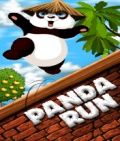 Panda Run - Gratis