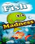 Fish Madness