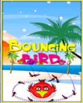 Bouncing Bird