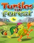 Schildkröten im Wald - frei