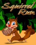 Squirrel Run - Percuma