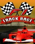 F1 Parça Yarışı (176x220)