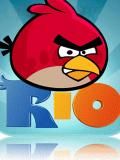 Angry Vögel Rio