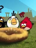 Angry Birds 2 (Cina)