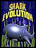 Evolução do tubarão