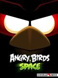 Angry Birds espace