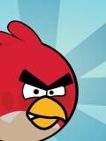 Angry Birds trong thành phố (240x320)