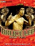 Bruce Lee Iron Faust