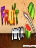 Ninja Fruit
