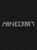 Minecraft 2D Clone